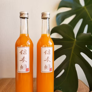濃厚♪温州みかん100%ジュース　500ml