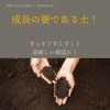 【今だけ超お得】ハンコー期（曲がり・白果・大・小）胡瓜 