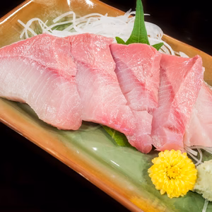 【寒ブリのシャトーブリアン】わずか数％の奇跡極寒ブリ"大トロ"刺身＆ブリしゃぶ用