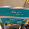 すぐ発送!1箱甘小粒っこ❢越冬樹成❢プロが選別したみかん【大津4号温州みかん】