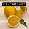 　河内晩かん　和のグレープフルーツ