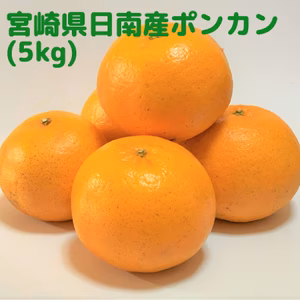 【宮崎県産】旬のはしり！芳香高い「日南ポンカン」(5kg)