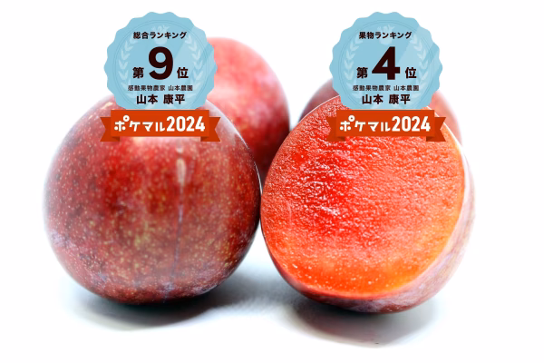 6月中下旬発送予約【濃厚食感】”完熟”メスレースモモ【サクランボサイズ】