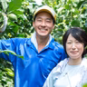 甲斐直樹
