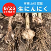 【季節限定!!】オーガニック 生にんにく