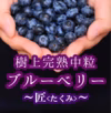 ＜予約＞～中粒～7月に採れた樹上完熟ブルーベリー＜匠＞