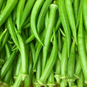 オクラ＝1ｋｇ＊ネバ・トロパワーで夏バテ知らず！農薬/化学肥料・不使用