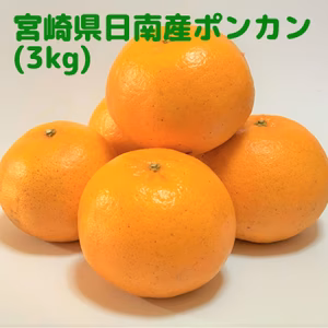 【宮崎県産】旬のはしり！芳香高い「日南ポンカン」(3kg)