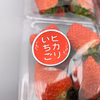 【産地直送】完熟もぎ『ヒカリいちご』 4パック