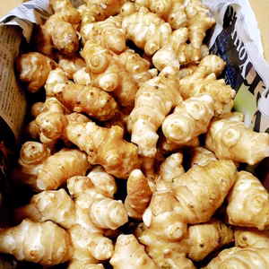 無農薬・無肥料・除草剤不使用 自然栽培の菊芋(キクイモ) 洗浄有。