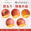 【送料無料】訳ありご家庭用 山形県産りんご シナノゴールド