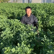 小橋川弘成