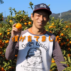 【減農薬で外皮訳あり】【家庭用】 まーくん家のみかん