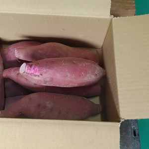 燕市学校給食指定　紅あずま・ふくむらさき　各1Ｋｇセット　計２Ｋｇ