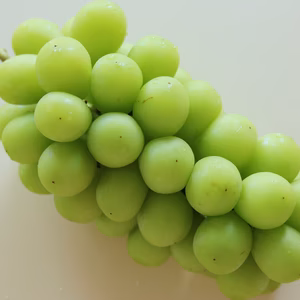 【食べる喜び・贈る喜びを感じる】シャインマスカット2㎏　4～5房