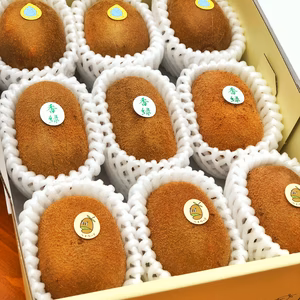 【迷ったらコレ！】プロのキウイ農家おすすめ季節限定の3種セット:M3
