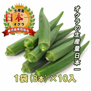 鹿児島県指宿市産　新鮮生オクラ　8本入×10袋