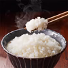 新潟県産　コシヒカリ　棚田米　5キロ〜30キロ  (白米) 令和6年産