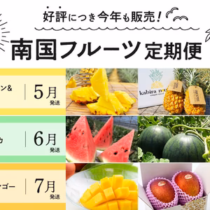 好評につき今年も販売！「南国フルーツ定期便」九州・沖縄からお届け