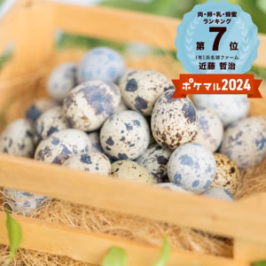 【家庭用】命のカプセル（うずらの生卵）【濃厚なのに後味サッパリ！】