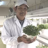 吉田広則