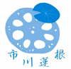 【冷蔵】茨城県土浦市ブランド認定『市川蓮根』！！ミシュランガイド掲載店に納品！！