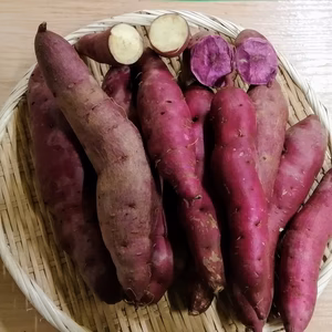 化学肥料、化学農薬を使用せずに栽培した熟成サツマイモ2種(計2.5kg)