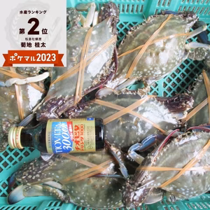 活梱包！オス大サイズ ２kg～ワタリガニ 渡り蟹 ガサミ雄