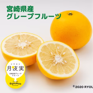 希少！果汁あふれる国産グレープフルーツ(白）