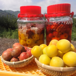 【冷凍梅】みなべの梅でおいしい梅シロップをつくろう！