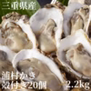30％増量中！【生食用】M～Lサイズ2０個入り 三重県産 殻付き 浦村かき