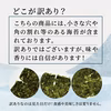 有明海産（熊本県産）焼き海苔全形40枚