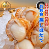 【食べ過ぎ注意！】プリっプリ！旨味が詰まった蒸しほたて（冷凍）
