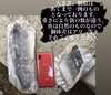 【冷凍】スズキのみ１kg入　☆スペシャル特典付き☆