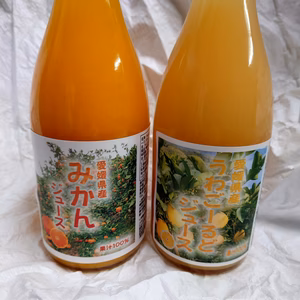 愛媛みかんジュース2種詰合わせ