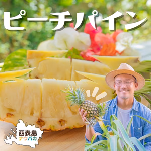 【4月発送】☆国内シェア0.3％☆世界自然遺産『西表島産のピーチパイン』