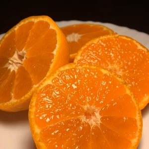 《送料込み》【南柑20号】豆小玉