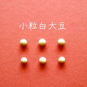 【小粒白大豆　２００g】忙しい時にこそ使って欲しい、小粒なお豆さん