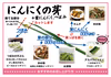 【予約限定】青森県産！農薬不使用のにんにくの芽＋葉＋つぼみ【６月前半から発送】