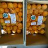 【贈答用】樹上完熟❢❢  （有田みかん）懐かしの味！夕やけみかん(日南）