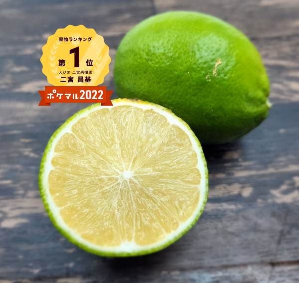 薄皮で種のないレモン　9月予約