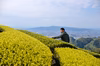 芽重型仕立ての煎茶「和」普段の飲みに最適！200ｇ×2袋　月1回定期発送
