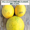 国産マイヤーレモン＋国産ライム5個セット(3kg)