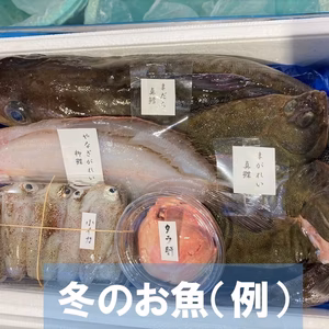獲れたて直送！　石巻の鮮魚詰め合わせ
