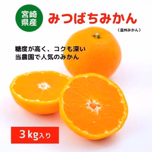 甘くとろける深いコク！宮崎県産「みつばちみかん」(３kg)