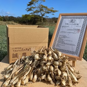 誠農園の たねがしま らっきょう(オーガニック 有機JAS らっきょう) 2kg