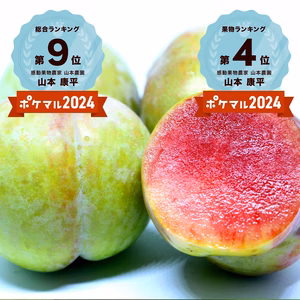 ６月末～７月上旬予約発送【濃厚甘酸っぱ食感】ソルダムスモモ【特別なプラム】